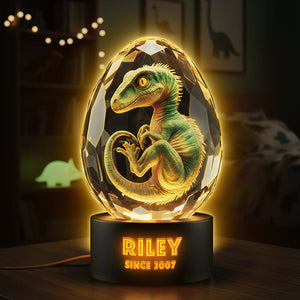 Cute Dino In Glass Egg Light Box - Personalized Gift For Dinosaur Lovers 04HYTA111225-Homacus