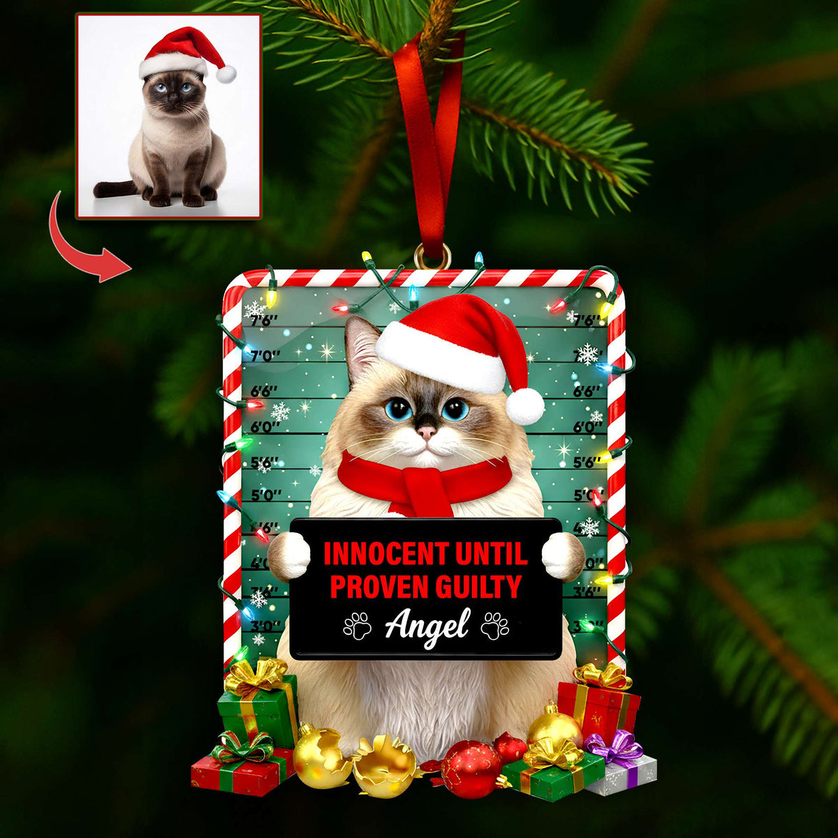 Cute Naughty Cat Acrylic Ornament - Personalized Custom Photo Gifts For Cat Lovers 08HULU121125-Homacus