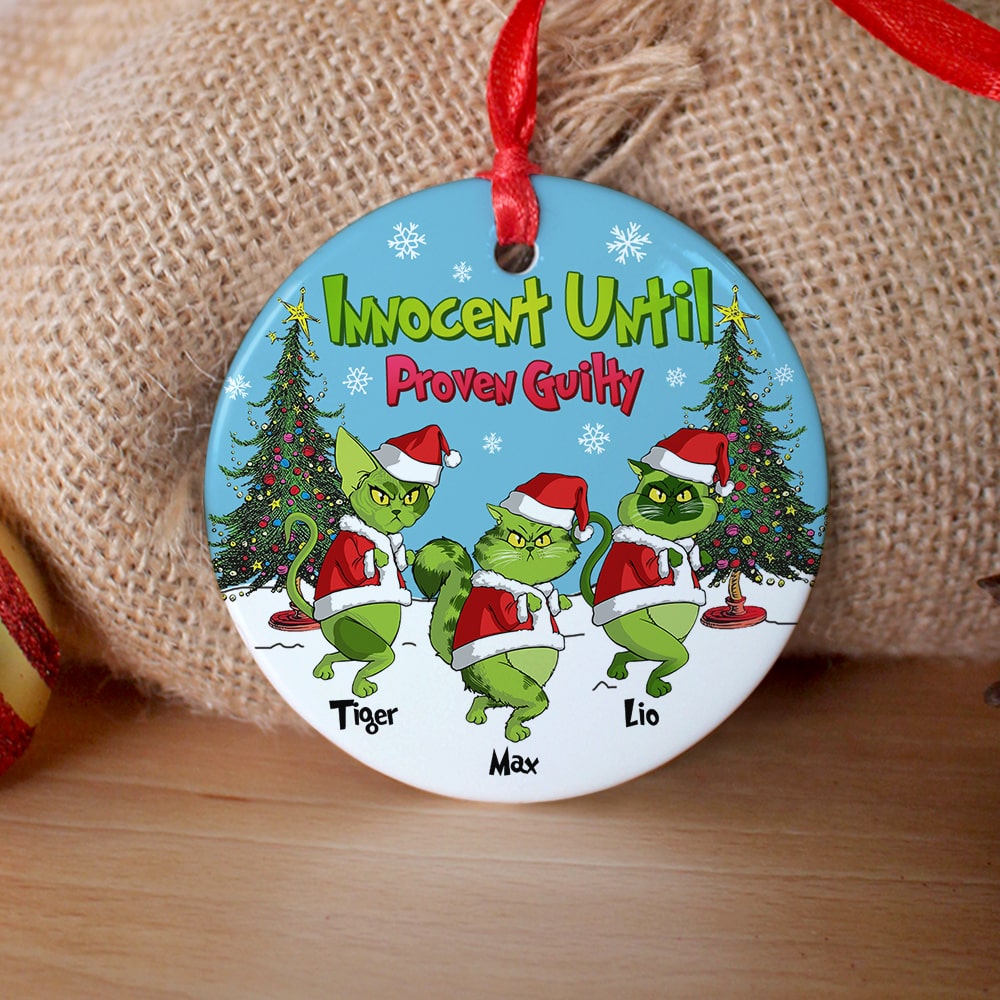 Personalized Gifts For Cat Lover Ornament 03hutn190724 Christmas Gifts-Homacus