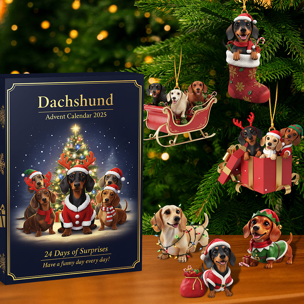 Christmas Advent Calendar Acrylic Blind Box - Gifts For Dog Lovers 01hyta211025-Homacus