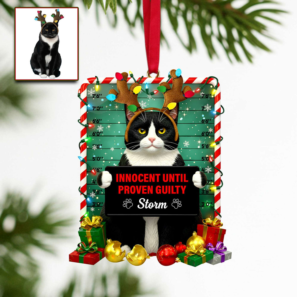 Cute Naughty Cat Acrylic Ornament - Personalized Custom Photo Gifts For Cat Lovers 08HULU121125-Homacus