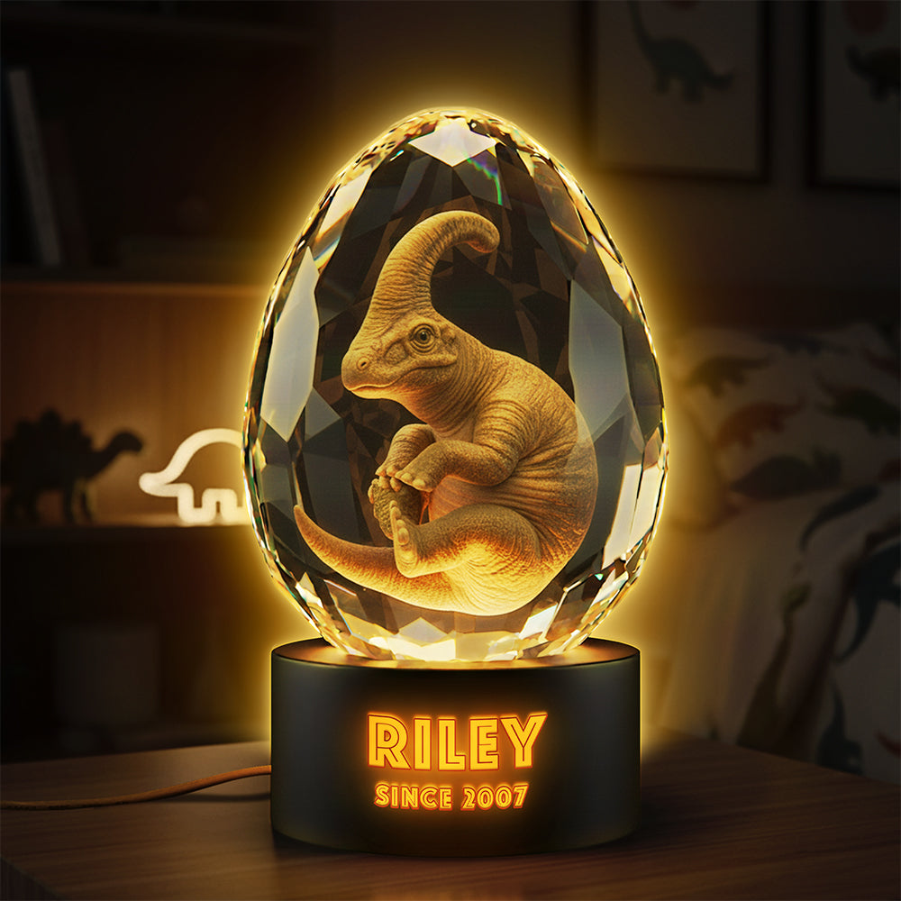 Cute Dino In Glass Egg Light Box - Personalized Gift For Dinosaur Lovers 04HYTA111225-Homacus