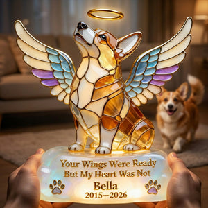 Pet Angel Memorial Light Box, Custom Photo Keepsake To Remember Losted Pets 02qhlu010426-Homacus