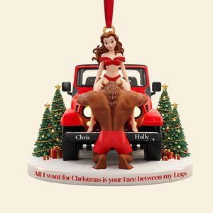 Personalized Gifts For Christmas, Naughty Couple Acrylic Ornament 03ohta241025-Homacus
