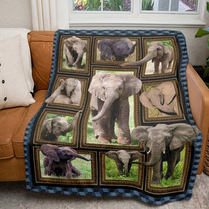 Elephant Collage - Personalized Blanket 041qhti311224-Homacus