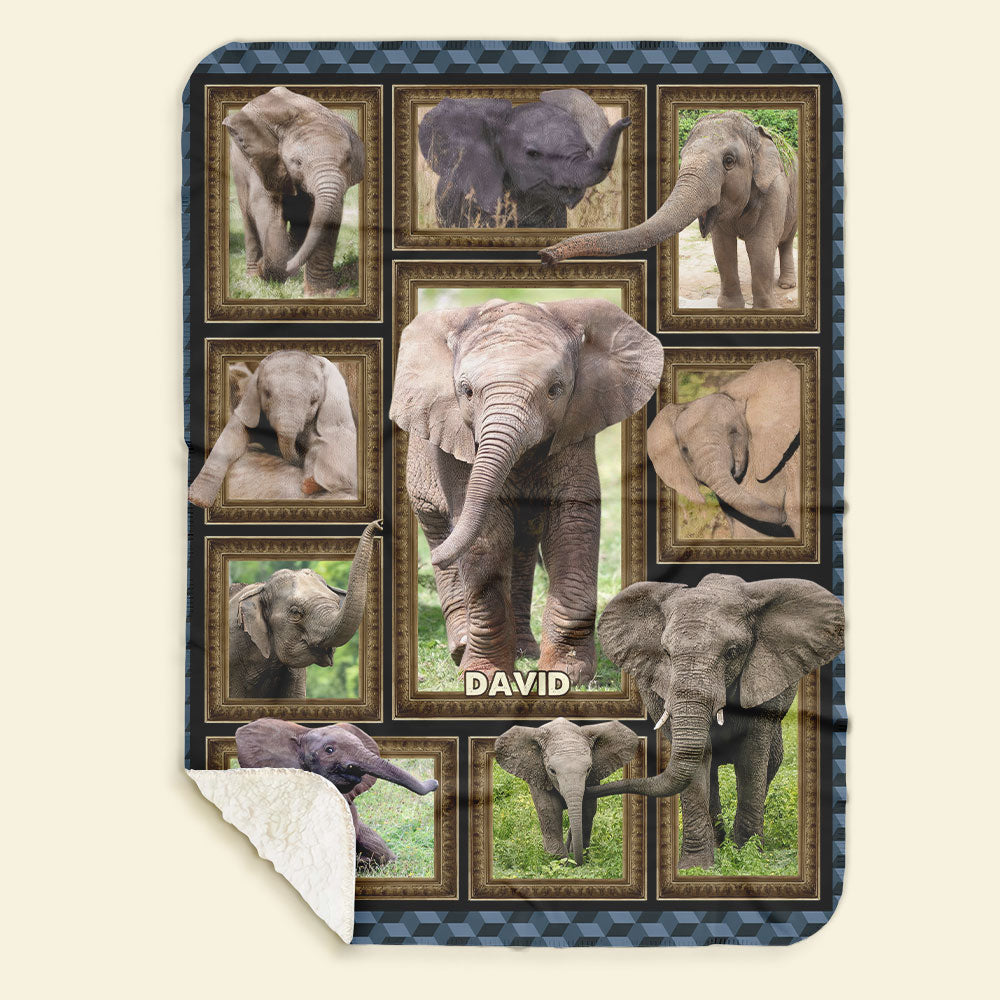 Elephant Collage - Personalized Blanket 041qhti311224-Homacus