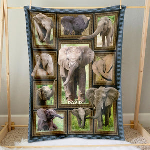 Elephant Collage - Personalized Blanket 041qhti311224-Homacus