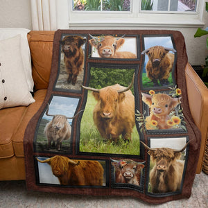 Highland Cow - Personalized Photos Collage Blanket 021qhti311224-Homacus