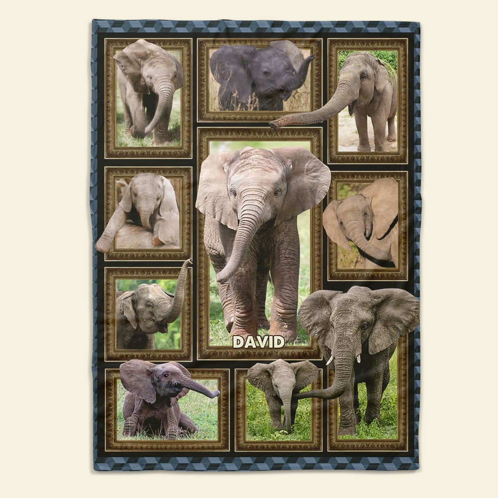 Elephant Collage - Personalized Blanket 041qhti311224-Homacus