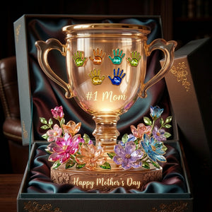 Mother's Day Trophy Acrylic Light Box - Personalized Gifts For Mom 02palu220426-Homacus