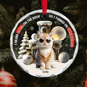 Custom Photo Gifts For Pet Lovers Christmas Ornament, Turned On The Fireplace 01tgpu281024-Homacus