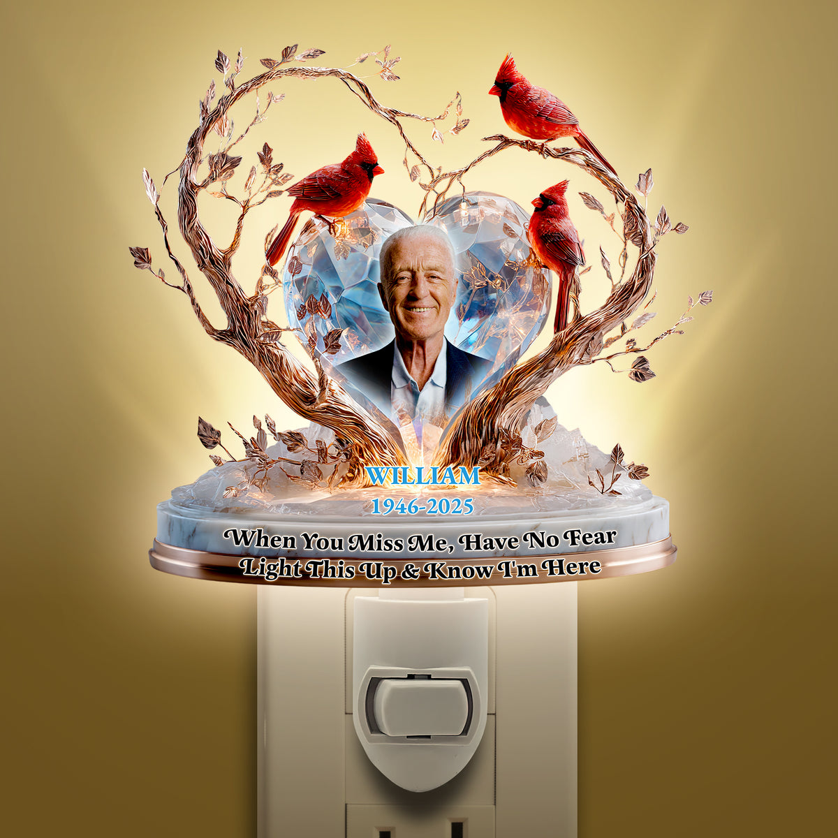 Memorial Heaven Acrylic Night Light Custom Photo Gifts For Heaven 02TGDT060625-Homacus