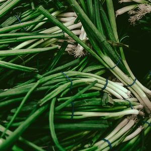 All-Season Scallion Seeds for Year-Round Harvests 24acxx161224-Homacus