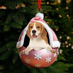 Custom Photo Gifts For Pet Lovers Ornament Christmas 04KALU081024-Homacus