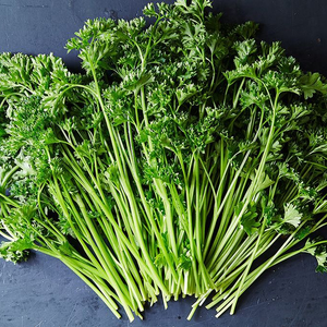 Four Seasons Parsley & Cilantro Seeds - Heirloom, Cold & Heat Resistant 26acxx161224-Homacus