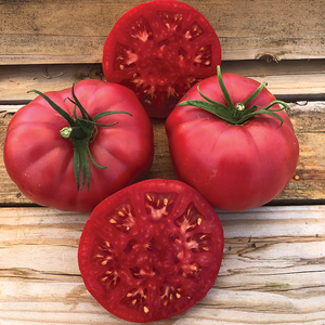 Pink Ponderosa Heirloom Tomato Seeds - Large, Delicious, Non-GMO 27acxx161224-Homacus