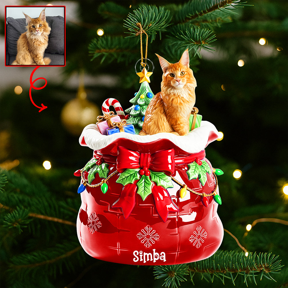 Festive Pet Keepsake Christmas Ornament - Custom Photo Gifts For Pet Lovers 05paqn080925-Homacus