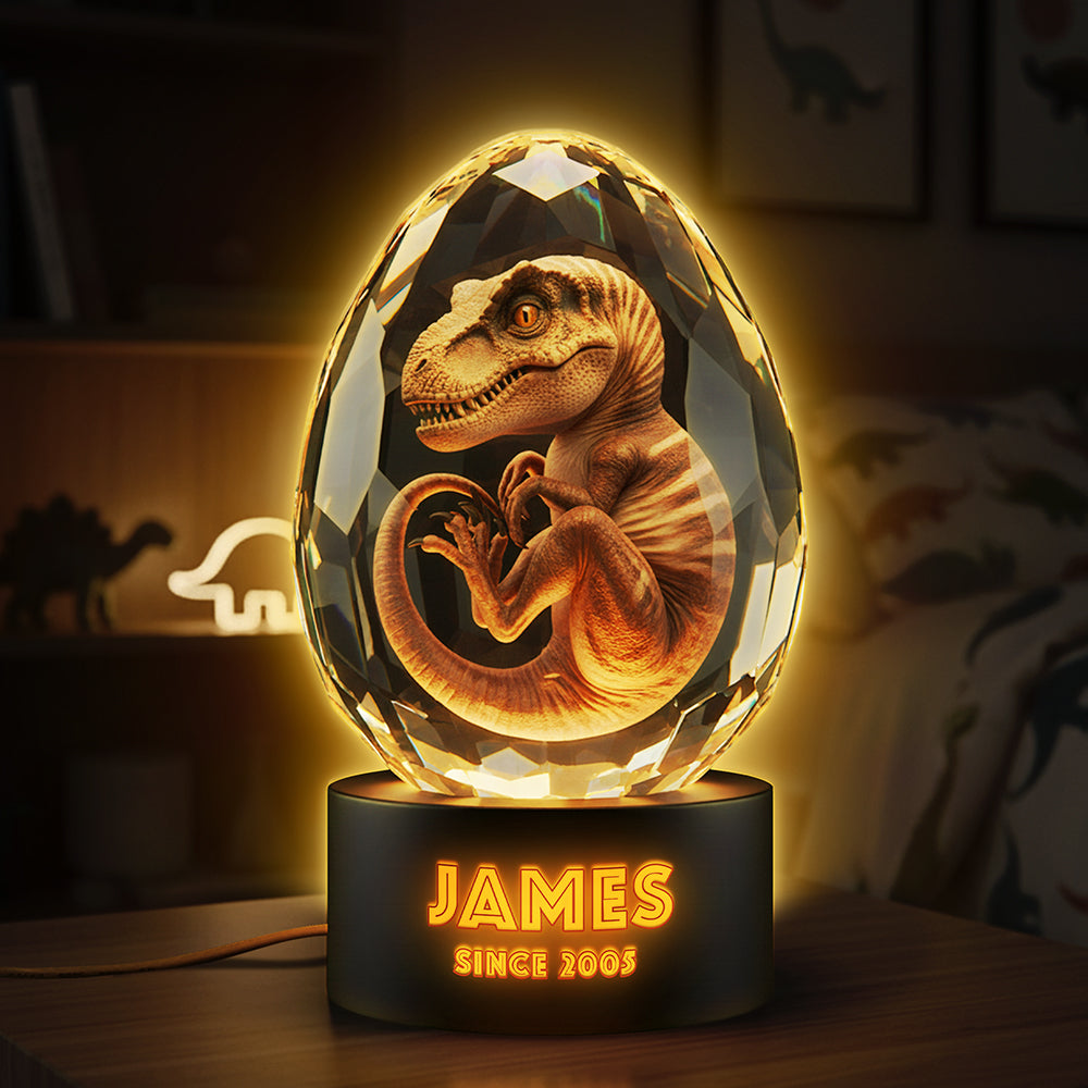 Cute Dino In Glass Egg Light Box - Personalized Gift For Dinosaur Lovers 04HYTA111225-Homacus