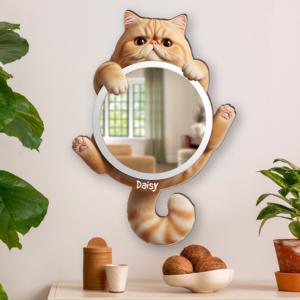 Cute Cat Mirror - Personalized Gifts For Cat Lovers 01ohqn260725-Homacus