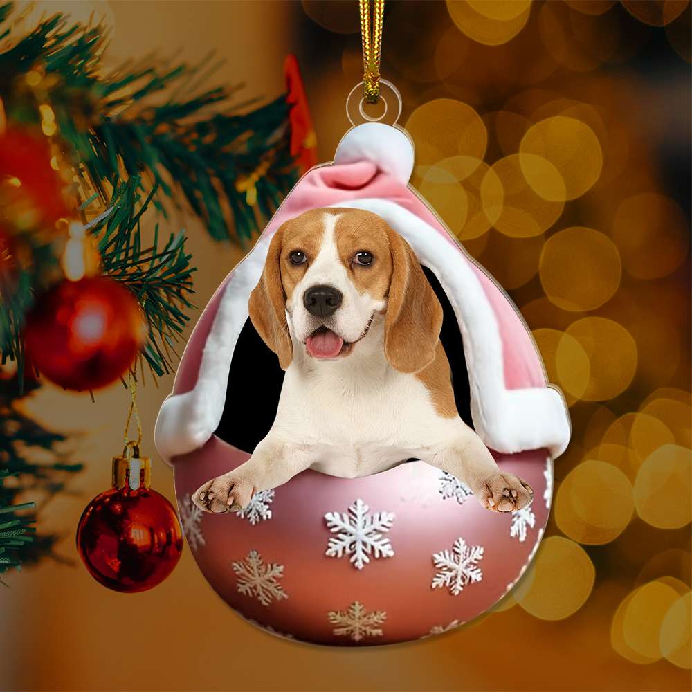 Custom Photo Gifts For Pet Lovers Ornament Christmas 04KALU081024-Homacus