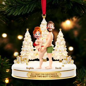 Playful Couple Acrylic Ornament - Personalized Gift For Couples 02OHLU051125-Homacus