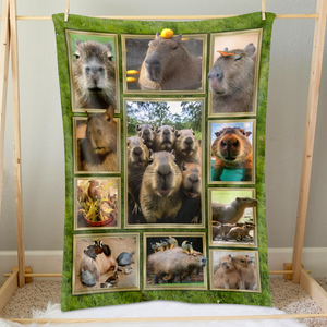 Personalized Gifts For Capybara Lover Blanket 05qhpu261224-Homacus