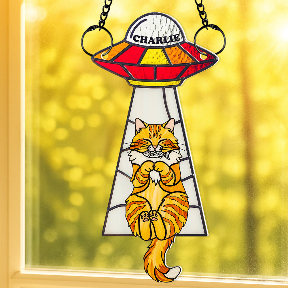 Funny Cat UFO Suncatcher Ornament Personalized Gifts For Cat Lovers 04NADT060625-Homacus