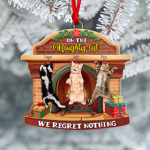 Custom Photo Gifts For Cat Lovers Christmas Ornament 03xqpu180924-Homacus