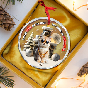 Custom Photo Gifts For Pet Lovers Christmas Ornament, Turned On The Fireplace 01tgpu281024-Homacus