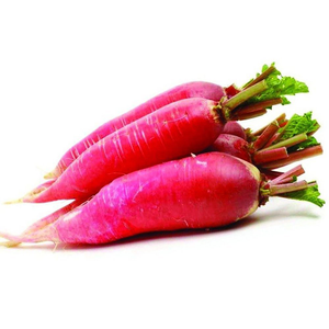 Red Radish Garden Seeds - Fast Growing, Nutritious 28acxx161224-Homacus