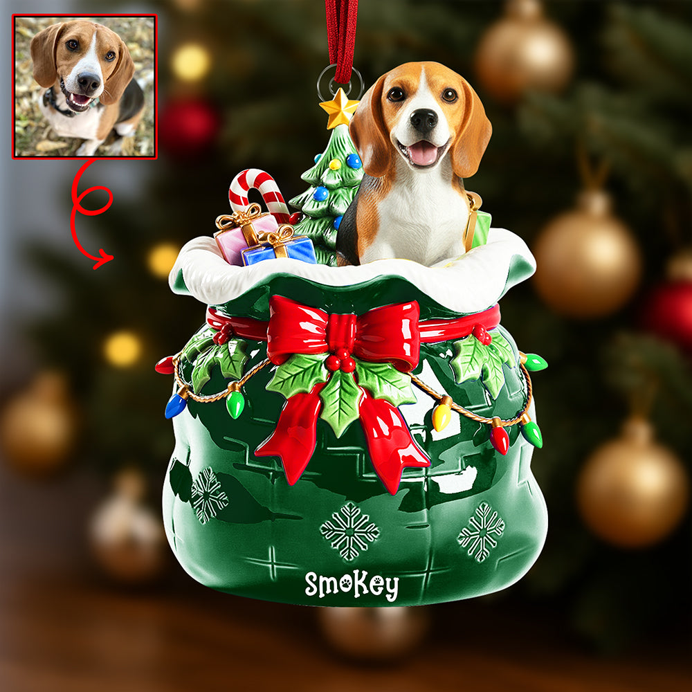 Festive Pet Keepsake Christmas Ornament - Custom Photo Gifts For Pet Lovers 05paqn080925-Homacus
