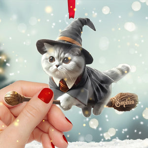 Personalized Gifts For Cat Lovers Acrylic Ornament Wizard Cat 02acdt250824-Homacus