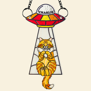 Funny Cat UFO Suncatcher Ornament Personalized Gifts For Cat Lovers 04NADT060625-Homacus