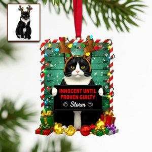 Cute Naughty Cat Acrylic Ornament - Personalized Custom Photo Gifts For Cat Lovers 08HULU121125-Homacus