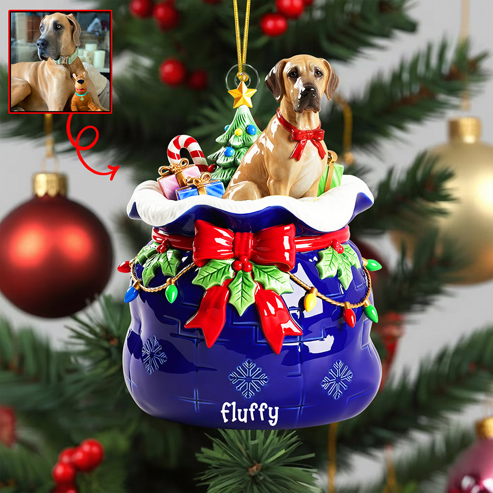 Festive Pet Keepsake Christmas Ornament - Custom Photo Gifts For Pet Lovers 05paqn080925-Homacus