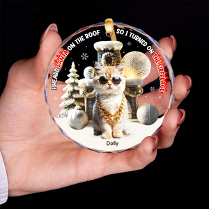 Custom Photo Gifts For Pet Lovers Christmas Ornament, Turned On The Fireplace 01tgpu281024-Homacus