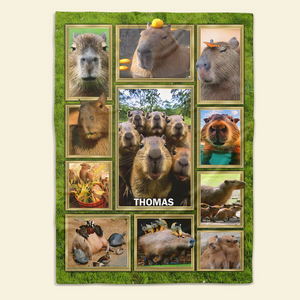 Personalized Gifts For Capybara Lover Blanket 05qhpu261224-Homacus