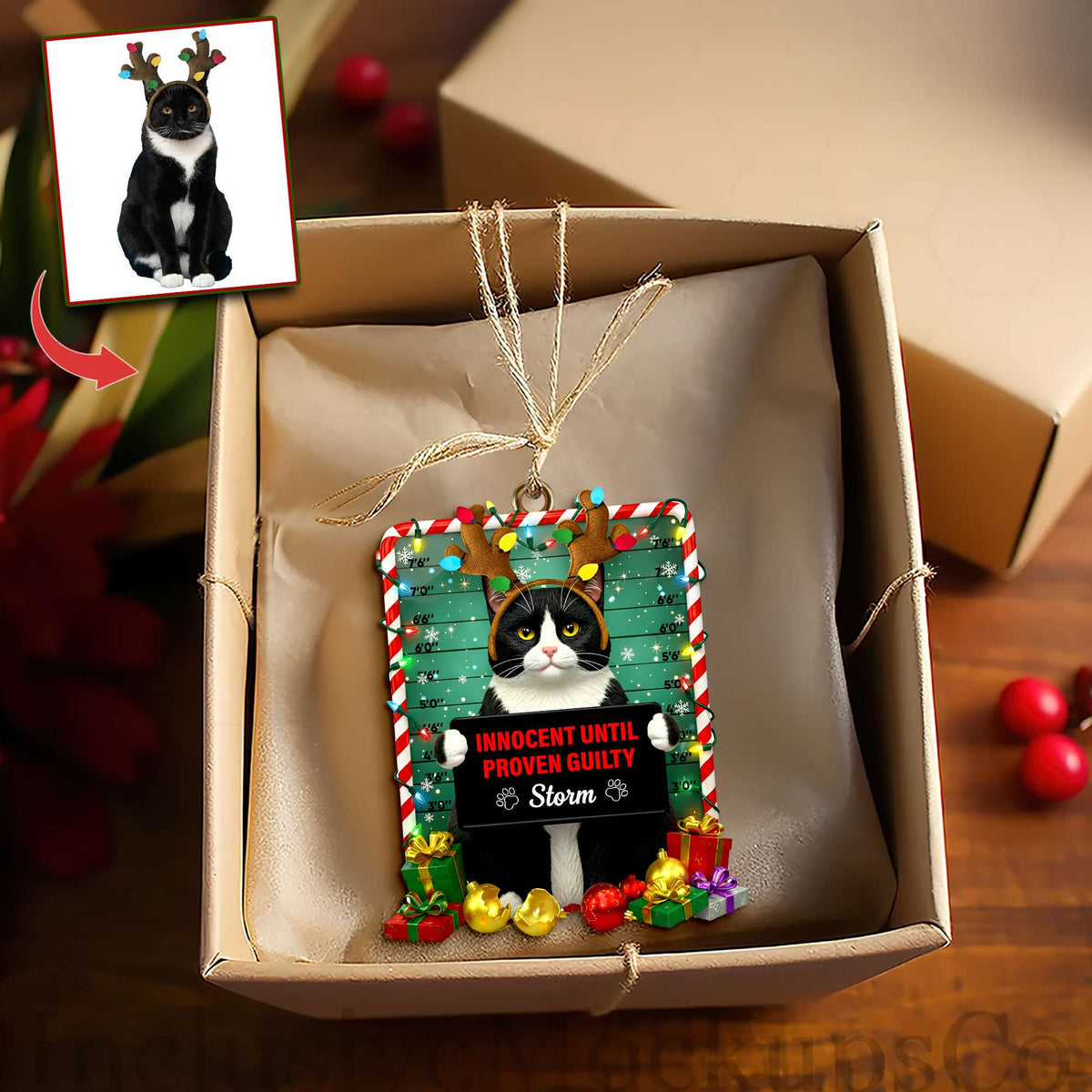 Cute Naughty Cat Acrylic Ornament - Personalized Custom Photo Gifts For Cat Lovers 08HULU121125-Homacus