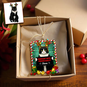 Cute Naughty Cat Acrylic Ornament - Personalized Custom Photo Gifts For Cat Lovers 08HULU121125-Homacus