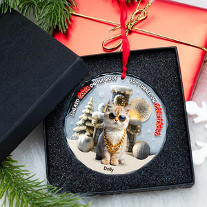 Custom Photo Gifts For Pet Lovers Christmas Ornament, Turned On The Fireplace 01tgpu281024-Homacus