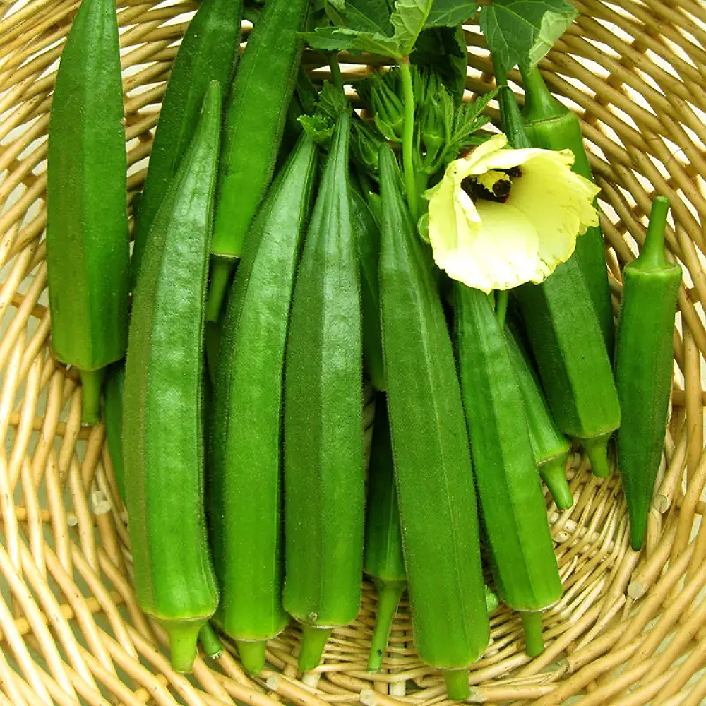 Heirloom Okra Vegetable Seeds - Non-GMO, High-Yielding, Ideal for Home Gardens 18acxx161224-Homacus