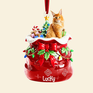Festive Pet Keepsake Christmas Ornament - Custom Photo Gifts For Pet Lovers 05paqn080925-Homacus