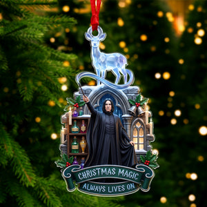 Master Of The Fantastical Universe Acrylic Ornament - Personalized Christmas Gifts 02paqn050826-Homacus