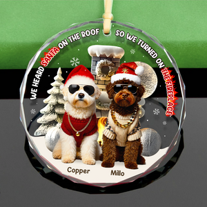 Custom Photo Gifts For Pet Lovers Christmas Ornament, Turned On The Fireplace 01tgpu281024-Homacus