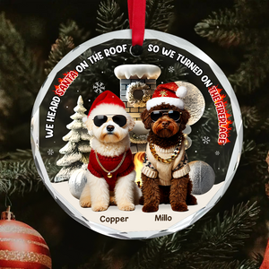 Custom Photo Gifts For Pet Lovers Christmas Ornament, Turned On The Fireplace 01tgpu281024-Homacus