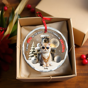 Custom Photo Gifts For Pet Lovers Christmas Ornament, Turned On The Fireplace 01tgpu281024-Homacus