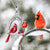 Red Crystal Cardinal Bird Necklace Memorial Gifts-Homacus