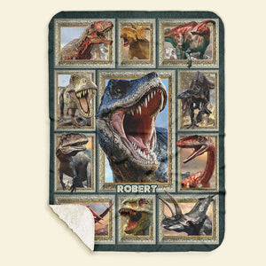 Personalized Gifts For Dinosaur Lover Blanket 03qhti271224-Homacus