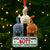 Funny Cat Ornament - Personalized Gifts For Cat Lovers 04nati061025-Homacus
