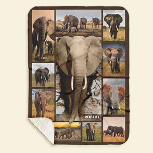 Personalized Gifts For Elephant Lover Blanket 011qhti311224-Homacus